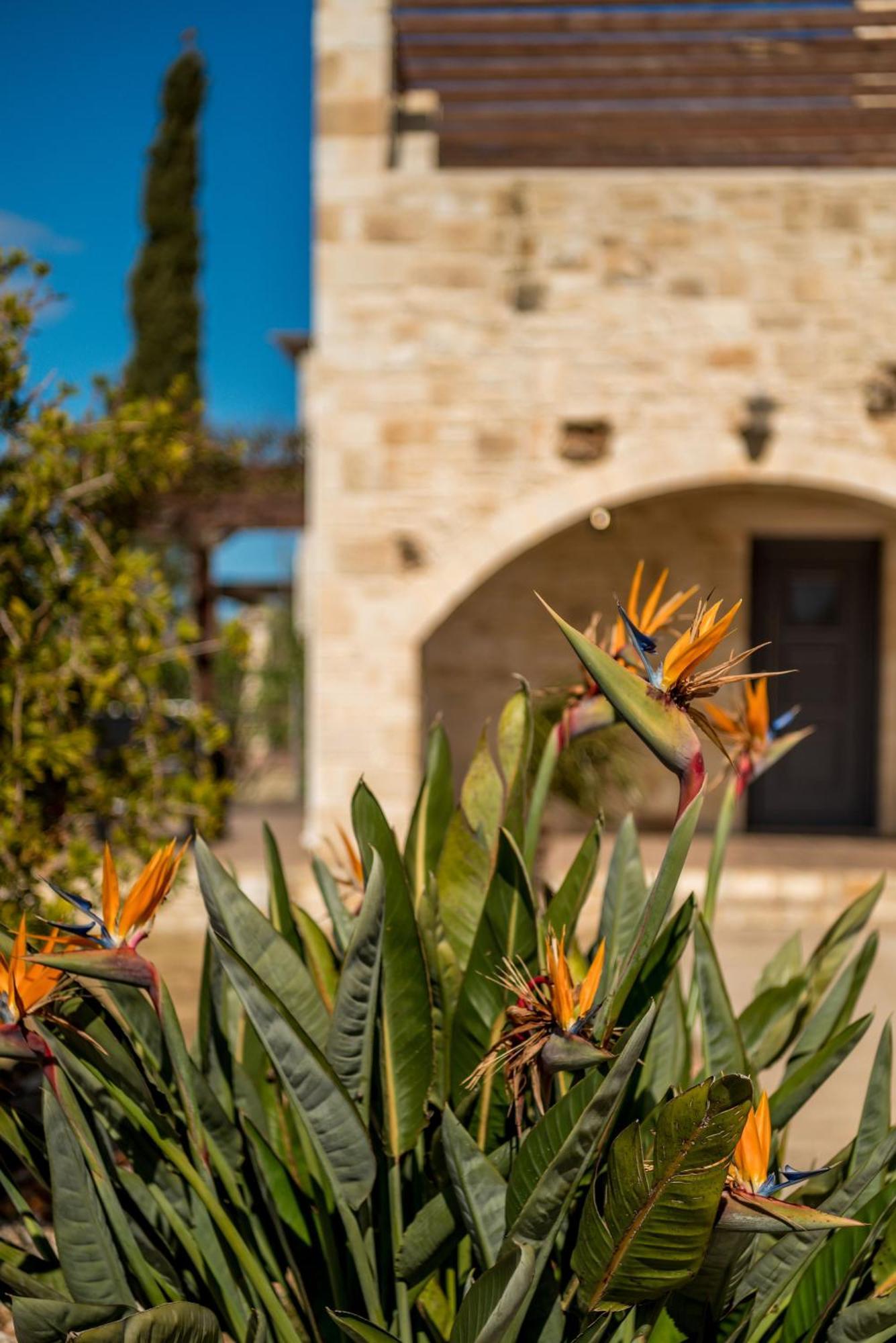 Villa Gloria Seaview - Luxury & Family Kokkino Chorio Экстерьер фото